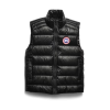 Crofton Insulated Vest